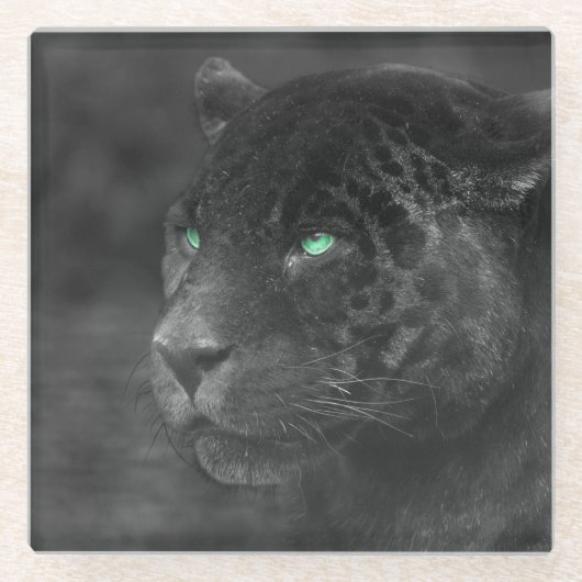 Black Jaguars Emerald Gaze Glasuntersetzer (Vorderseite)