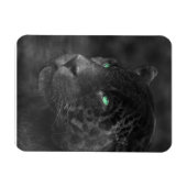 Black Jaguars Emerald Gaze Magnet (Horizontal)