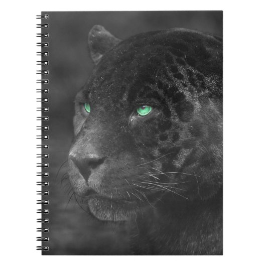 Black Jaguars Emerald Gaze Notizblock (Vorderseite)