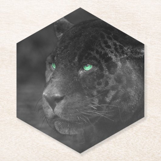 Black Jaguars Emerald Gaze Untersetzer (Vorderseite)