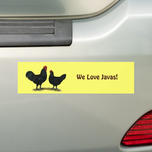 Black Java Chickens Autoaufkleber (Auf Auto)