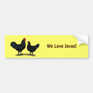 Black Java Chickens Autoaufkleber