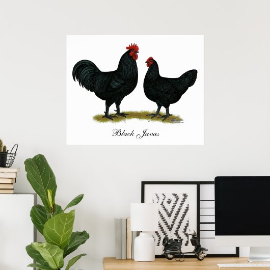 Black Java Chickens Poster (Heimbüro)