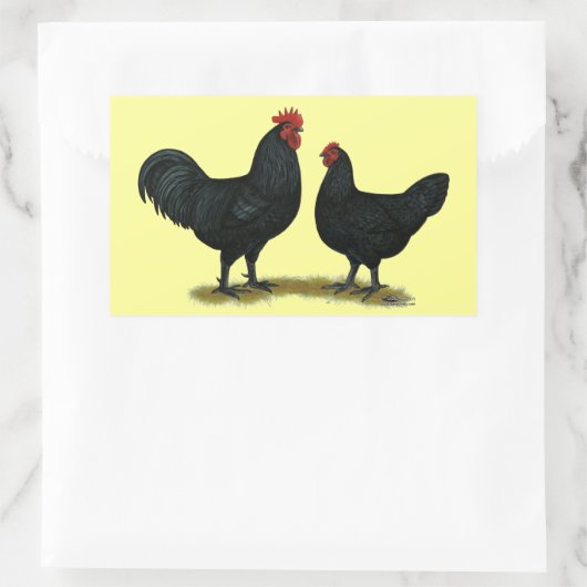 Black Java Chickens Rechteckiger Aufkleber (Tasche)