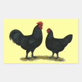 Black Java Chickens Rechteckiger Aufkleber (Vorderseite)