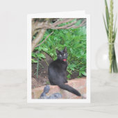 Black Kitten an der Wand Karte (Vorderseite)