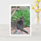 Black Kitten an der Wand Karte (Gelbe Blume)
