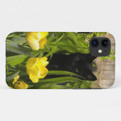 Black Kitten, Gelbe Tulpen. iPhone 5 Gehäuse Case-Mate iPhone Hülle (Rückseite (Horizontal))