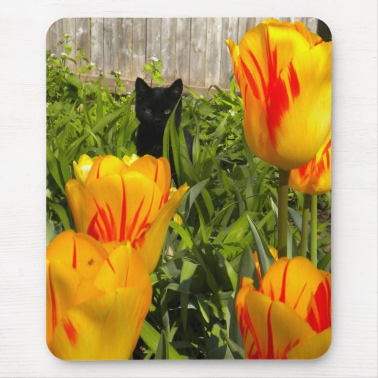 Black Kitten in der Tulip Garden Mousepad (Vorne)