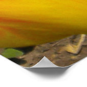 Black Kitten in Tulips Poster (Ecke)