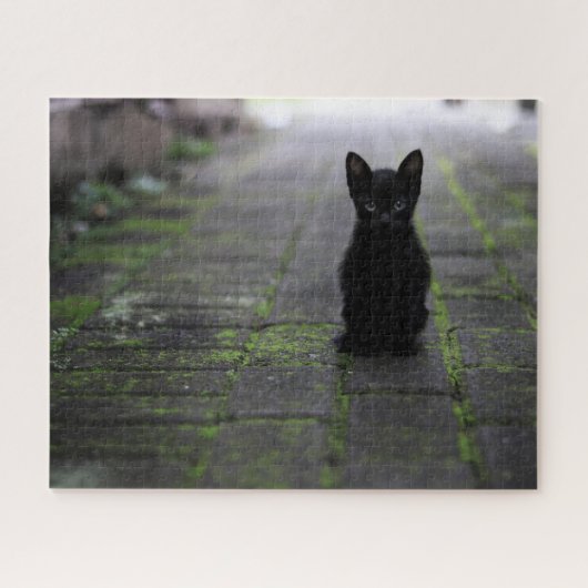 Black Kitten Jigsaw Puzzle (Horizontal)