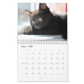 Black Kitten Kalender (Mär 2027)