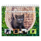 Black Kitten Kalender (Titelbild)