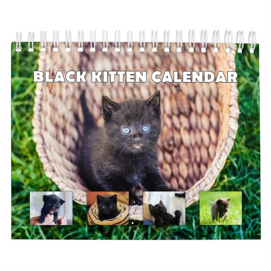 Black Kitten Kalender (Titelbild)