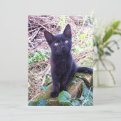 Black Kitten Karte (Stehend Vorderseite)