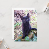 Black Kitten Karte (Vorderseite/Rückseite Beispiel)