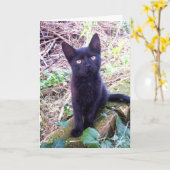 Black Kitten Karte (Gelbe Blume)