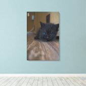 Black Kitten Leinwanddruck (Insitu (Holzboden))