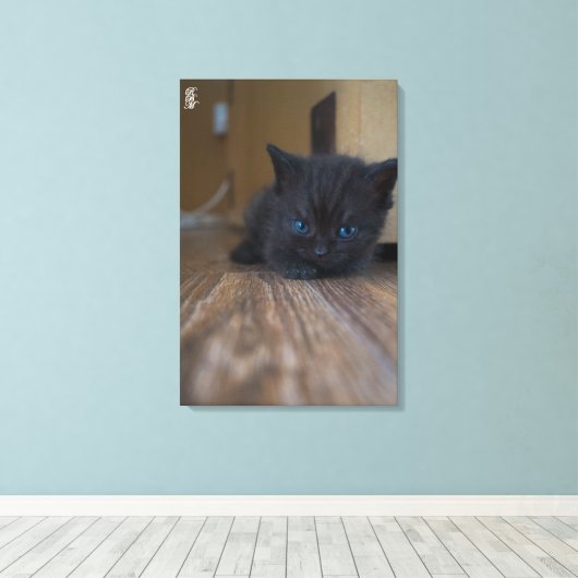 Black Kitten Leinwanddruck (Insitu (Holzboden))