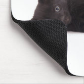 Black Kitten Mousepad (Ecke)