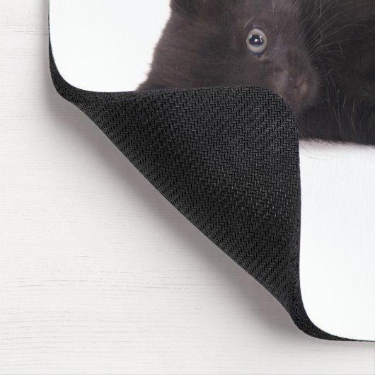 Black Kitten Mousepad (Ecke)