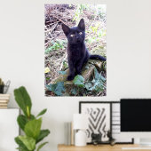 Black Kitten Poster (Heimbüro)
