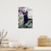 Black Kitten Poster (Küche)