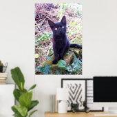 Black Kitten Poster (Heimbüro)