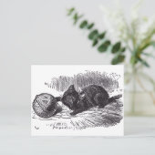 Black Kitten Postkarte (Stehend Vorderseite)