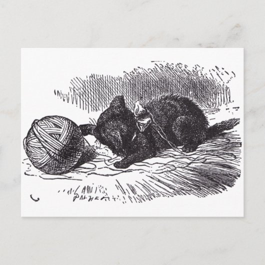 Black Kitten Postkarte (Vorderseite)