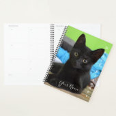 Black Kitten - Täglicher Planer - HAMbWG (Anzeige)