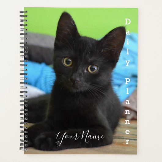 Black Kitten - Täglicher Planer - HAMbWG (Vorderseite)