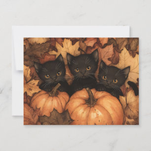 Black Kitten Trio Illustration Postkarte