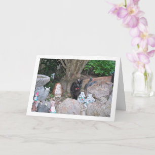 Black Kitten über Rockery Karte