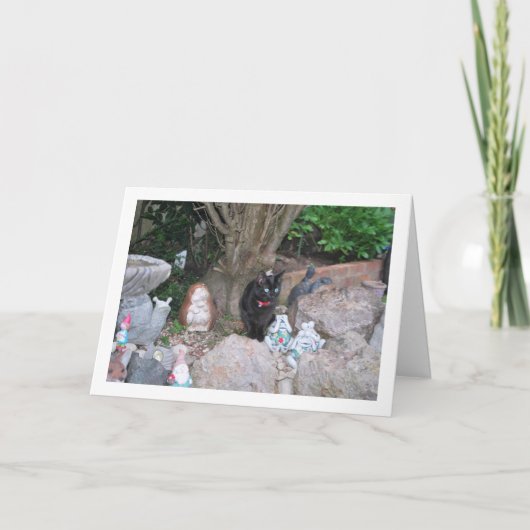 Black Kitten über Rockery Karte (Vorderseite)
