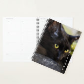 Black Kitty - Daily Planner - HAMbWG Planer (Anzeige)
