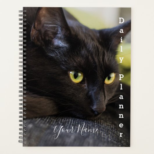 Black Kitty - Daily Planner - HAMbWG Planer (Vorderseite)