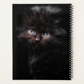 Black Kitty Planer (Rückseite)