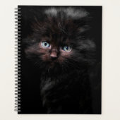 Black Kitty Planer (Vorderseite)