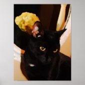 Black Kitty Poster (Vorne)