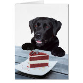 Black Lab All Occasion Card - Dog Cake Birthday (Vorne)