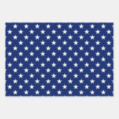 Black Lab American Flag USA Preppy Dog Fun Geschenkpapier Set (Vorderseite 3)