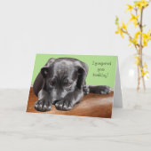 Black Lab Belated Birthday Karte (Gelbe Blume)