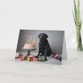 Black Lab Birthday Karte (Vorderseite)