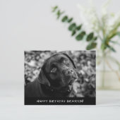 Black Lab Birthday Postkarte (Stehend Vorderseite)