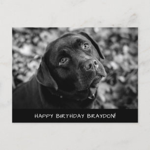 Black Lab Birthday Postkarte