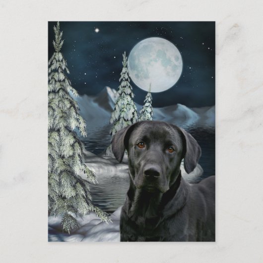 Black lab Christmas Feiertagspostkarte (Vorderseite)