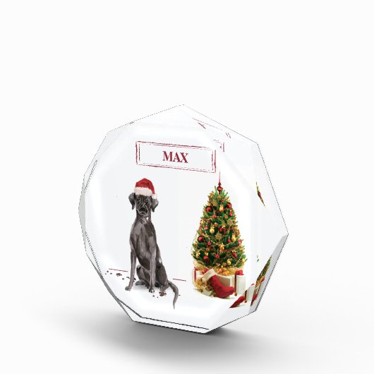 Black Lab Funny Christmas Dog and Tree Fotoblock (Rechts)