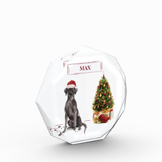 Black Lab Funny Christmas Dog and Tree Fotoblock (Links)