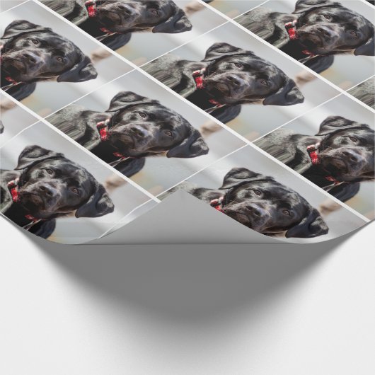 Black Lab Hund Pet Black Labrador Retriever Geschenkpapier (Ecke)